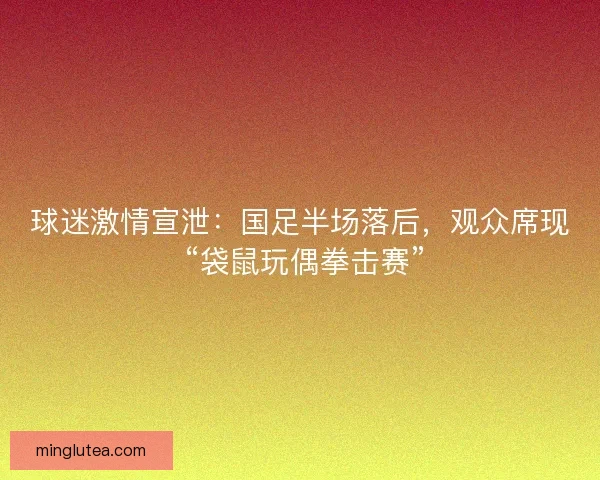 球迷激情宣泄：国足半场落后，观众席现 “袋鼠玩偶拳击赛”