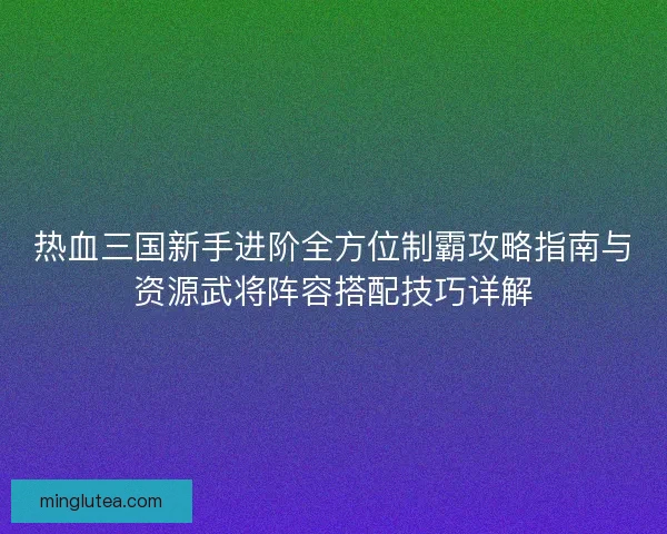 热血三国新手进阶全方位制霸攻略指南与资源武将阵容搭配技巧详解