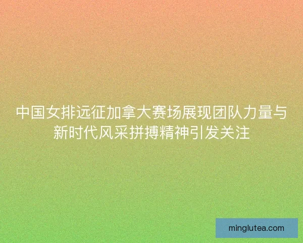中国女排远征加拿大赛场展现团队力量与新时代风采拼搏精神引发关注